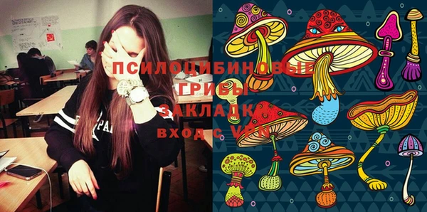 амф Верея