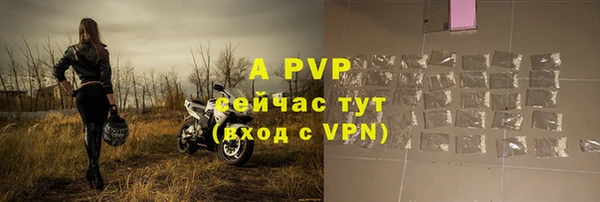 амф Верея