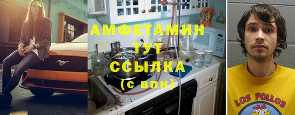 амф Верея